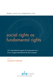Omslag van Social rights as fundamental rights