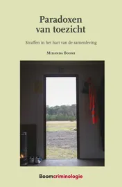 Omslag van Paradoxen van toezicht
