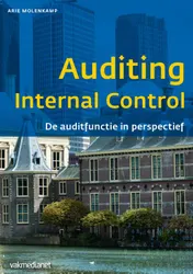 Omslag van Auditing internal control