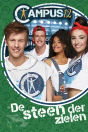 Omslag van De steen der zielen