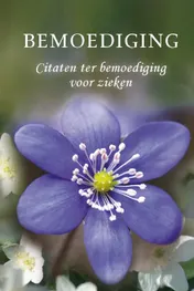 Omslag van Bemoediging