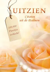 Omslag van Uitzien