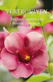Omslag van Vertrouwen (pareltje)