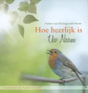 Omslag van Hoe heerlijk is Uw Naam