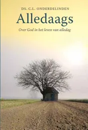 Omslag van Alledaags