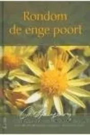 Omslag van Rondom de enge poort