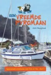 Omslag van Een vreemde pyromaan