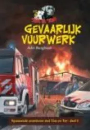 Omslag van Gevaarlijk vuurwerk