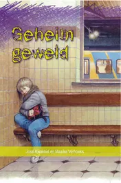 Omslag van Geheim geweld