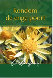 Omslag van Rondom de enge poort