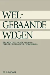 Omslag van Welgebaande wegen