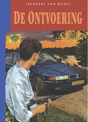 Omslag van De ontvoering