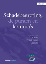 Omslag van Schadebegroting, de punten en komma's