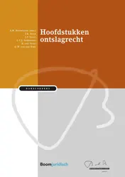 Omslag van Hoofdstukken ontslagrecht