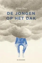 Omslag van De jongen op het dak