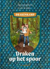 Omslag van Draken op het spoor