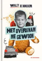Omslag van Het overkwam me gewoon