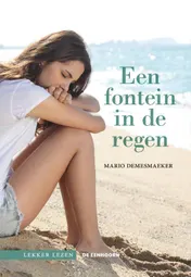 Omslag van Een fontein in de regen