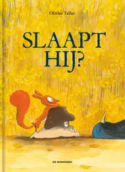 Omslag van Slaapt hij?