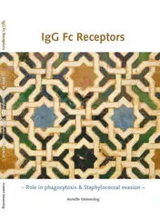 Omslag van IgG fc receptors