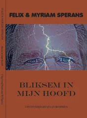 Omslag van Bliksem in mijn hoofd