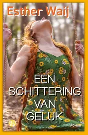 Omslag van Een schittering van geluk
