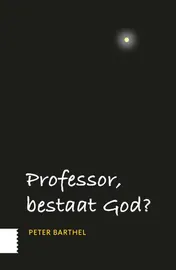 Omslag van Professor, bestaat God?