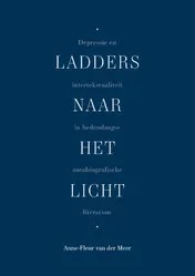 Omslag van Ladders naar het licht