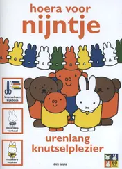 Omslag van Hoera voor Nijntje
