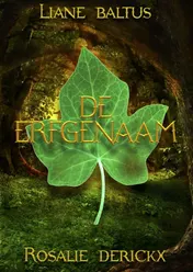 Omslag van De erfgenaam