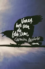 Omslag van Vraag het aan de bliksem