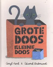 Omslag van Grote doos, kleine doos