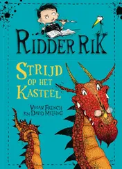 Omslag van Strijd op het kasteel