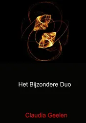 Omslag van Het bijzondere duo