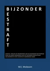 Omslag van Bijzonder bestraft