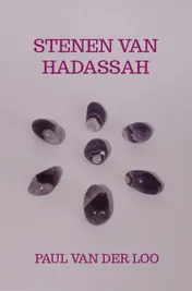 Omslag van Stenen van Hadassah