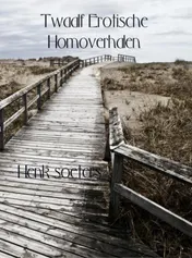 Omslag van Twaalf erotische homoverhalen