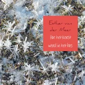 Omslag van Hoe het kerst werd in het bos