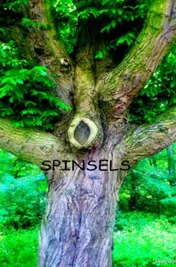 Omslag van Spinsels