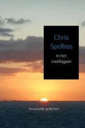 Omslag van In het voorbijgaan