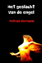Omslag van Het geslacht van de engel