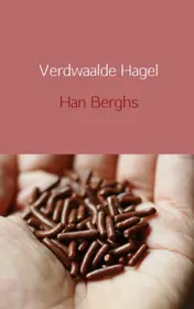 Omslag van Verdwaalde hagel