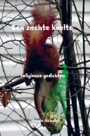 Omslag van Een zachte koelte