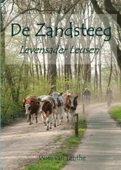 Omslag van De Zandsteeg