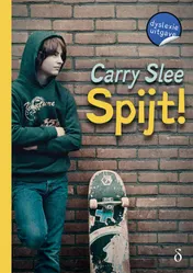 Omslag van Spijt