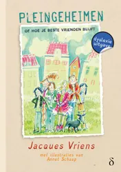 Omslag van Pleingeheimen