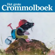Omslag van Het grote Crommolboek