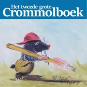 Omslag van Het tweede grote Crommolboek