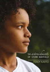 Omslag van The Astonishments of Stork Mayfield