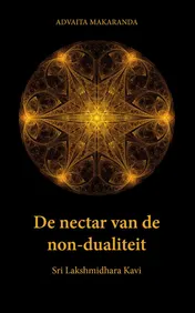 Omslag van De nectar van de non-dualiteit